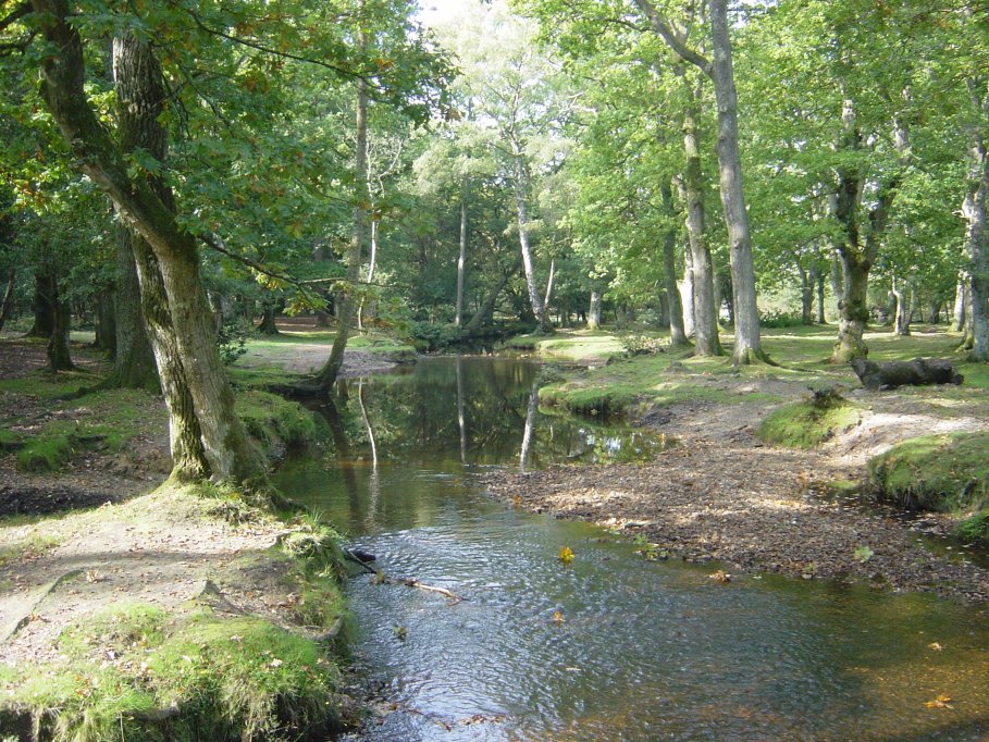 We were tempted by a tree swing but being older now made us sensible